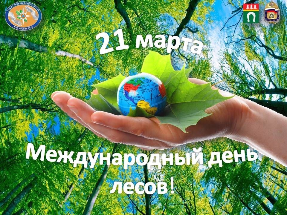 Всемирный день леса.